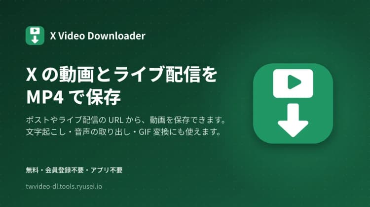 X Video Downloader