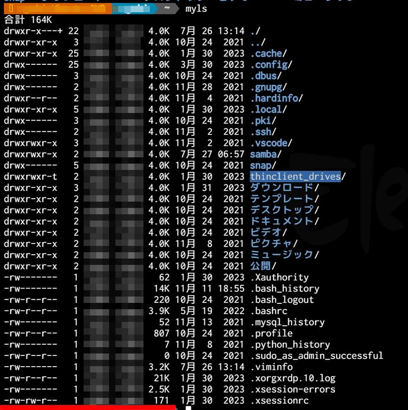 上記のオプション付きでlsコマンドを実行した結果のスクリーンショット