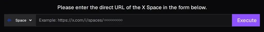 The X Space Downloader input form: paste the Space URL and press Execute.