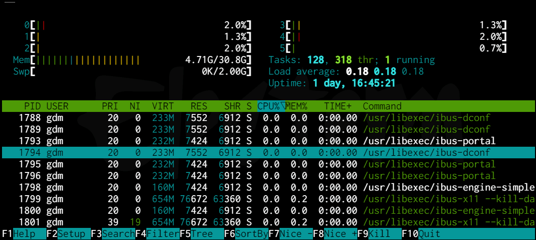 htop command screen