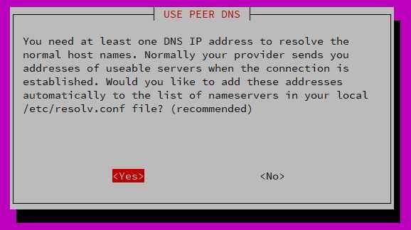 通常のホスト名を解決するには、少なくとも1つのDNS IPアドレスが必要です。通常、接続が確立されると、プロバイダーから使用可能なサーバーのアドレスが送られてきます。これらのアドレスをローカルの/etc/resolv.confファイルのネームサーブリストに自動的に追加しますか？（推奨）
